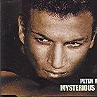 Peter Andre - Mysterious Girl 2004