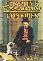Charlie Chaplin - The Essanay comedies 1 (1915)