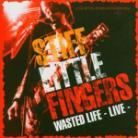 Stiff Little Fingers - Wasted Life-Studio & Live (2 CDs)
