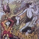The Weather Prophets - Judges, Juries & Horsemen