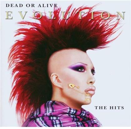 Dead Or Alive - Evolution - The Best Of