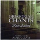 Gregorian Chants - Rock Anthems