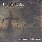 It Dies Today - Forever Scorned - Mini