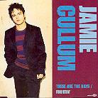 Jamie Cullum - These Are The Days/Frontin'