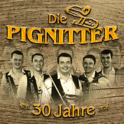 Pingnitter - 30 Jahre