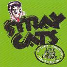 Stray Cats - Live In Barcelona 22.7.04