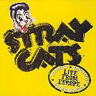Stray Cats - Live In Bonn 29.7.04