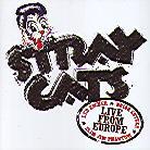 Stray Cats - Live In Luzern 27.7.04