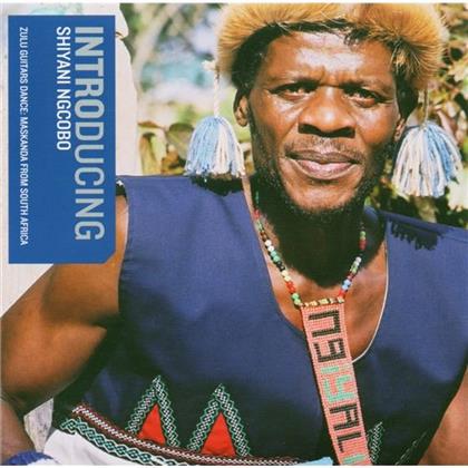 Shiyani Ngcobo - Zulu Guitars Dance