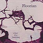 Floorian - What The Buzzing