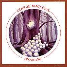 Dougie MacLean - Snaigow