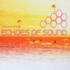 Echoes Of Sound - Need Somebody
