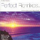 Paul Van Dyk - Perfect Remixes 2