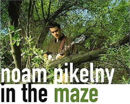 Noam Pikelny - In The Maze