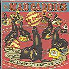 Mad Caddies - Live From Toronto: Songs In Key Of