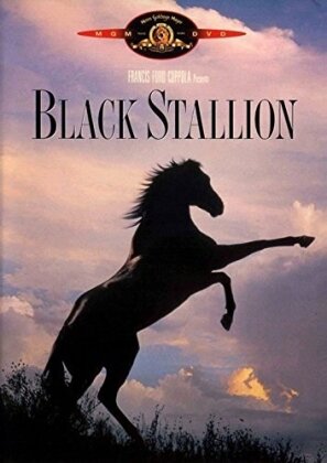 Black Stallion (1979)