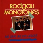 Rodgau Monotones - Wir Sehen Uns Vor Gericht