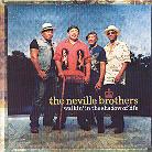 The Neville Brothers - Walkin In The Shadows Of Life