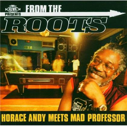Andy Horace & Mad Professor - From The Roots