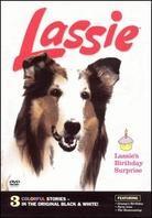 Lassie's birthday surprise