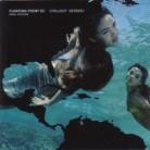 Floating Point - Vol. 2