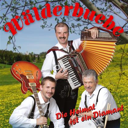 Wälderbuebe - Die Heimat Ist Ein Diamant