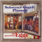 Schwyzerörgeli Duo Schumacher/Schwyn - Schwyzerörgei Plausch Im Gmüetliche Egge