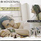 Wonderwall - Come Along