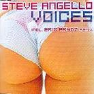 Steve Angello - Voices