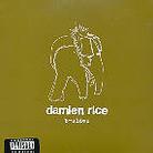 Damien Rice - B-Sides (Limited Edition)