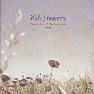 Connie Price - Wildflowers