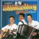 Mitterling Buam - Musik Im Bluat
