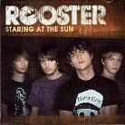 Rooster - Staring At The Sun