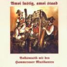 Hammerauer Musikanten - Amoi Lustig, Amoi Staad