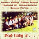 Hammerauer Musikanten - Grad Lustig Is