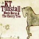 KT Tunstall - Black Horse