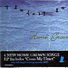 Homegrown (Puschnig Wolfgang, Urbanek Paul, Preuschl Raphael, Koenig Lukas) - When It All Comes Down (Mini-Album)