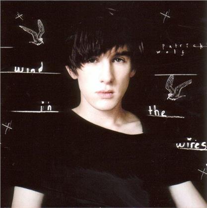 Patrick Wolf - Wind In The Wires