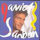 David Sanborn - Change Of Heart