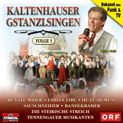Gstanzlsingen Kaltenhauser - Various