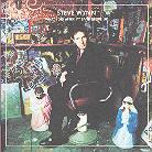 Steve Wynn - Best Of 1990-2004 (2 CDs)