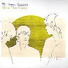 Thirteen Senses - Thru The Glass 2