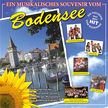 Musikalisches Souvenir Vom Bodensee - Various