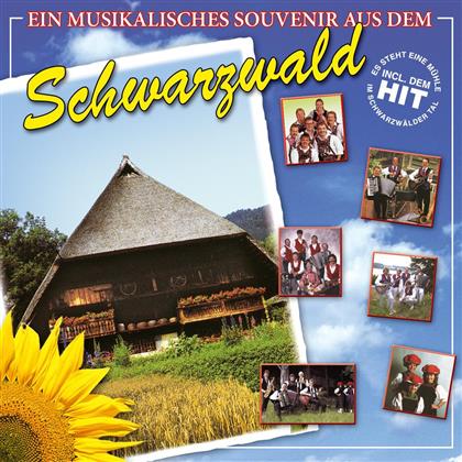 Musikalisches Souvenir Vom Schwarzwald - Various