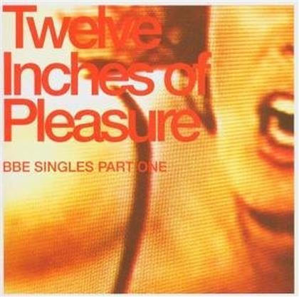 Twelve Inches Of Pleasure - Various