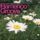 Carlos Gallardo - Flamecno Groove (2 CD)