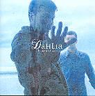 Dahlia - Le Grand Jeu
