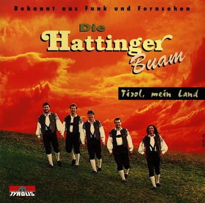 Die Hattinger Buam - Tirol Mein Land
