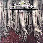 Dew-Scented - Issue 6
