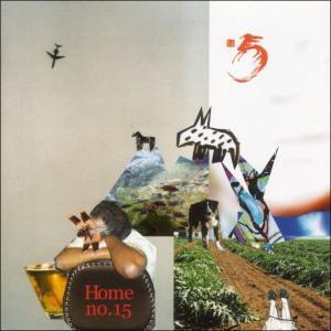 Home - 15